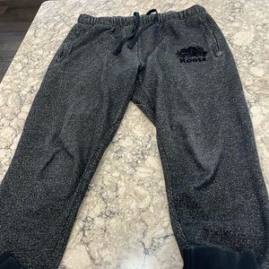 Roots Sweatpants/joggers